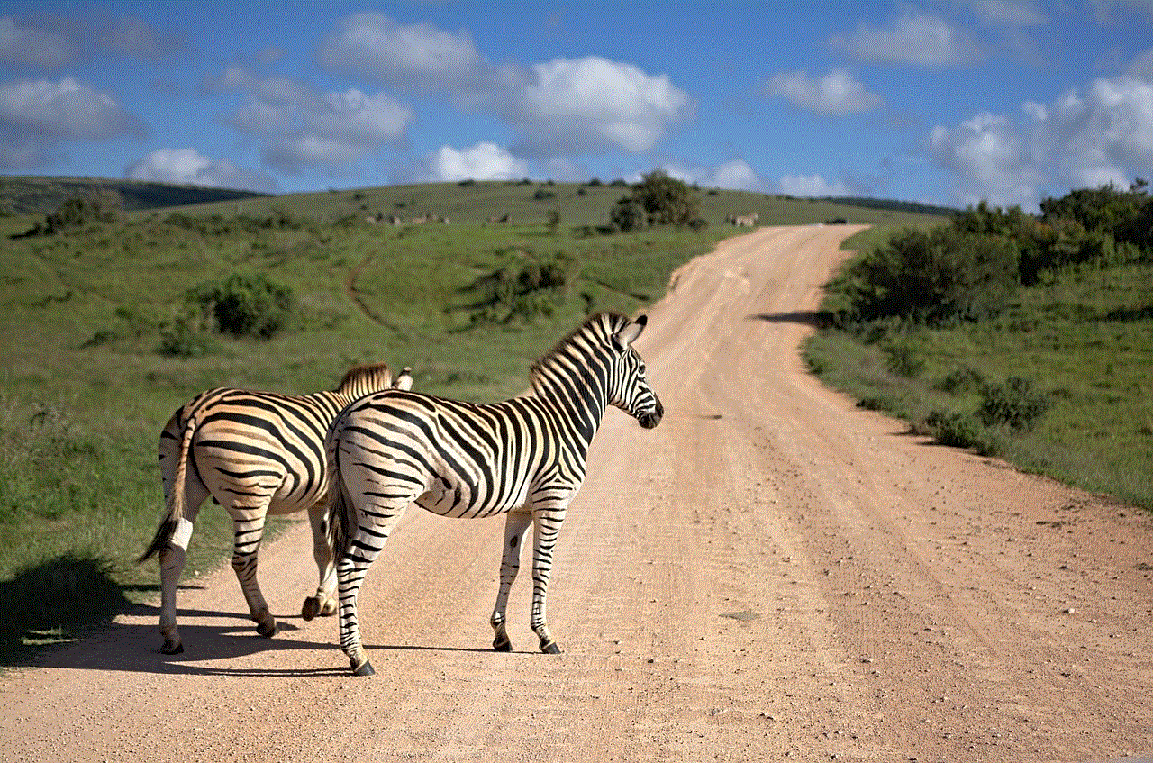 Zebra South Africa