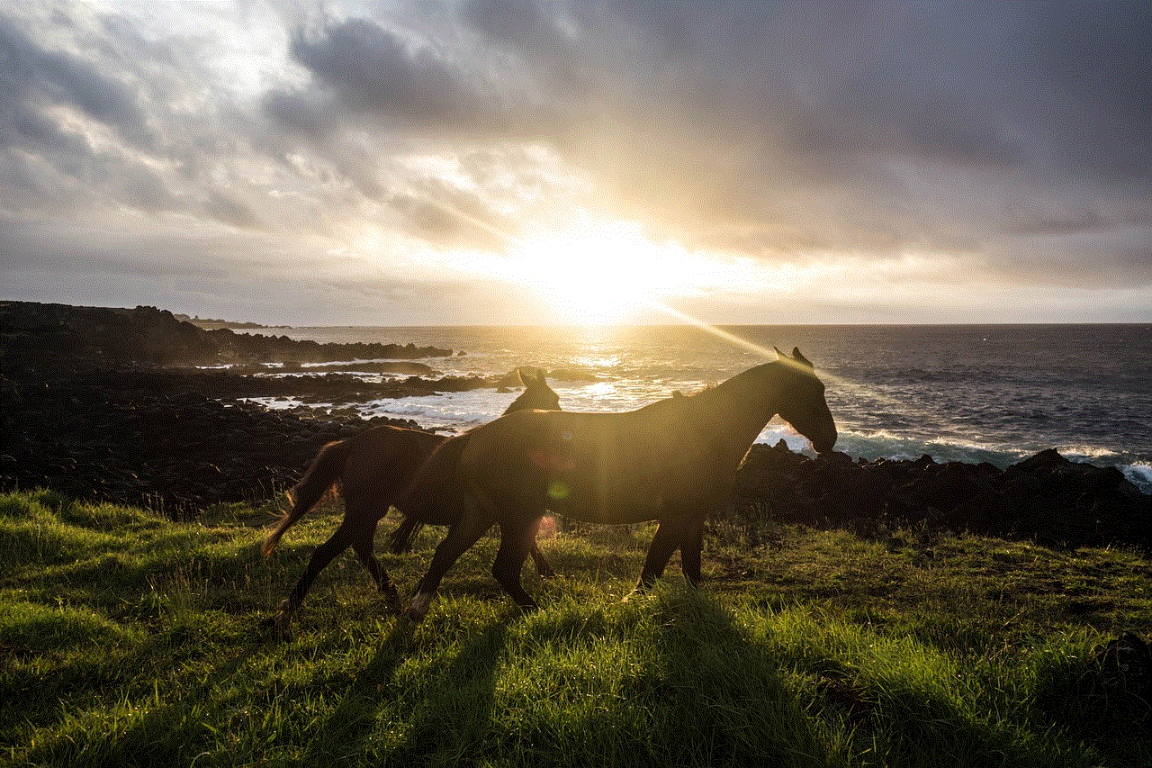 Horse Sunset