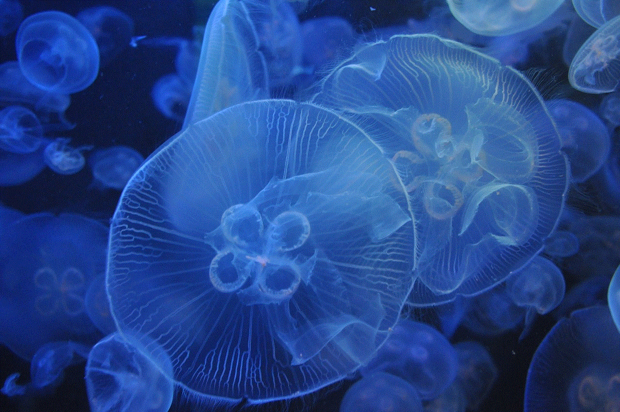 Jellyfish Aquarium