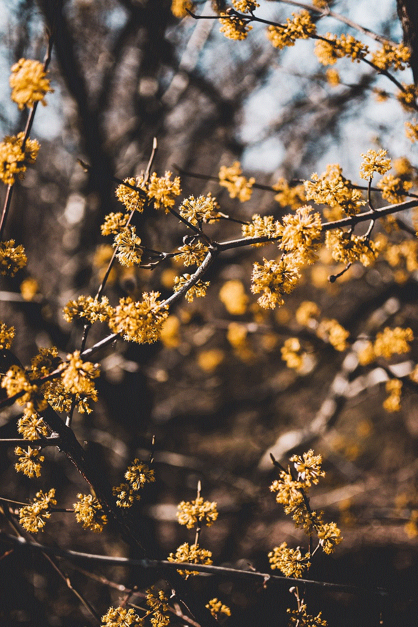 Tree Flower Background