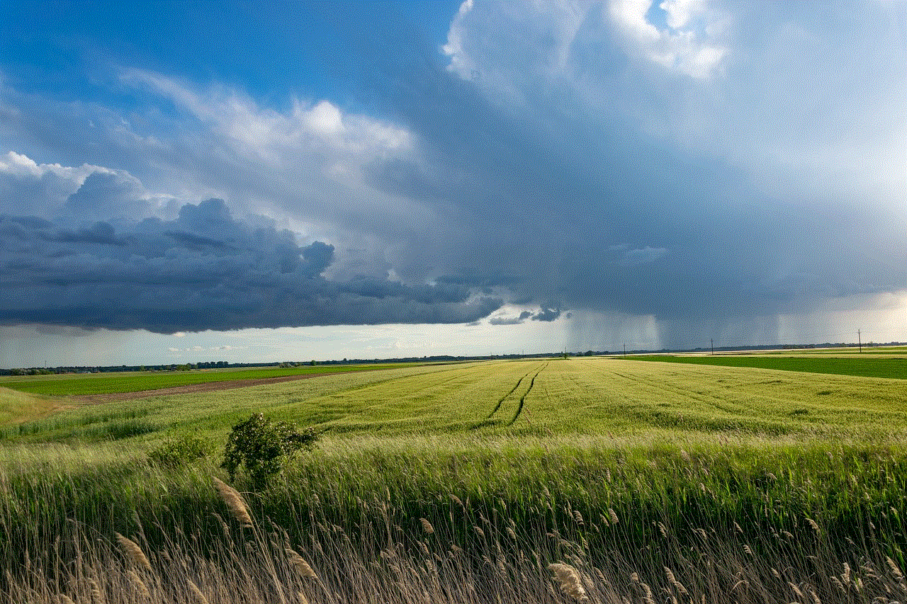 Storm Wheat Field