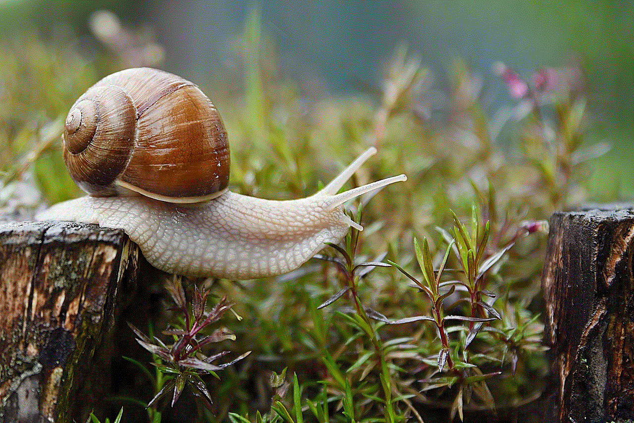 Snail Garden