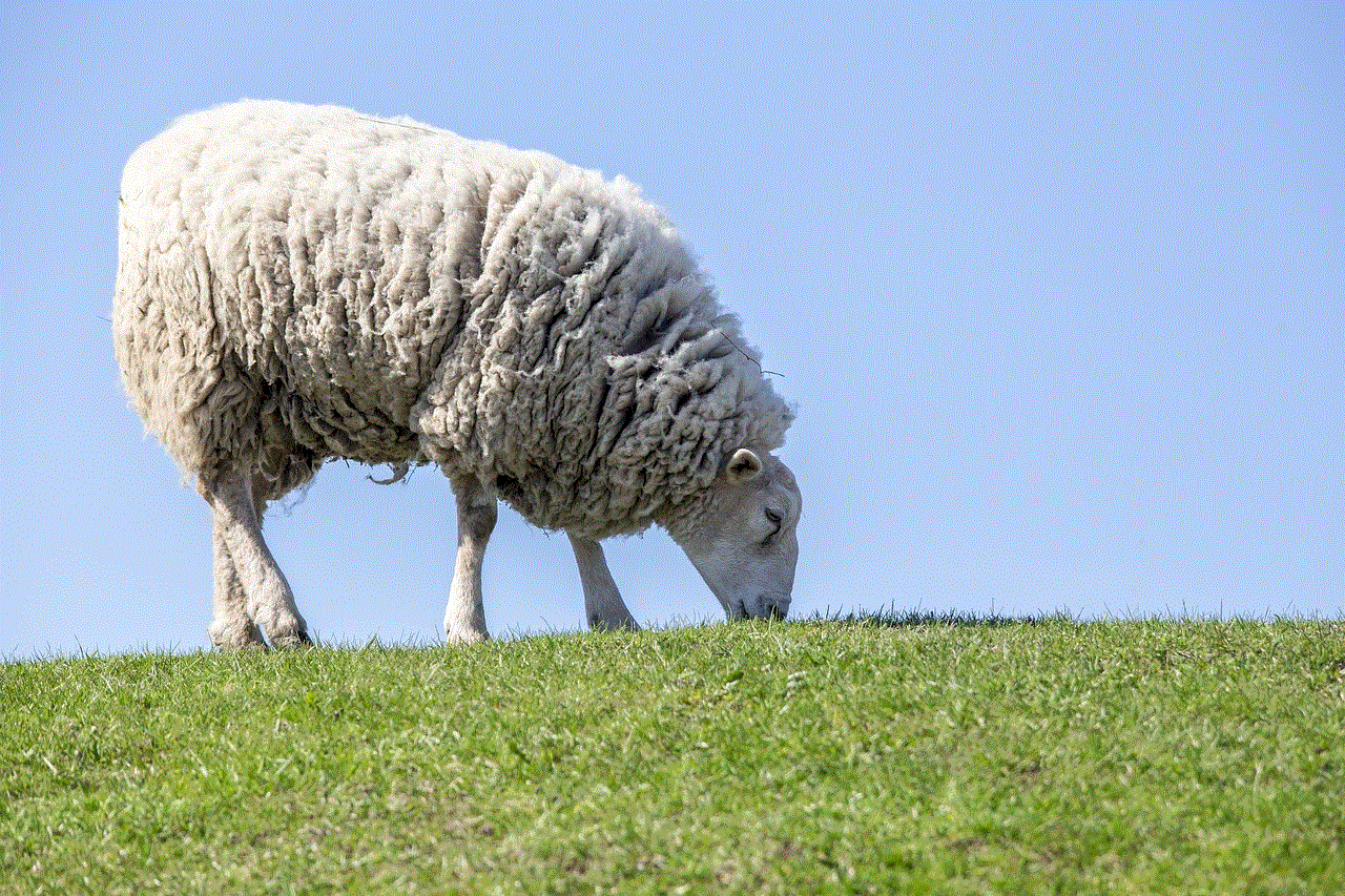 Sheep Grass