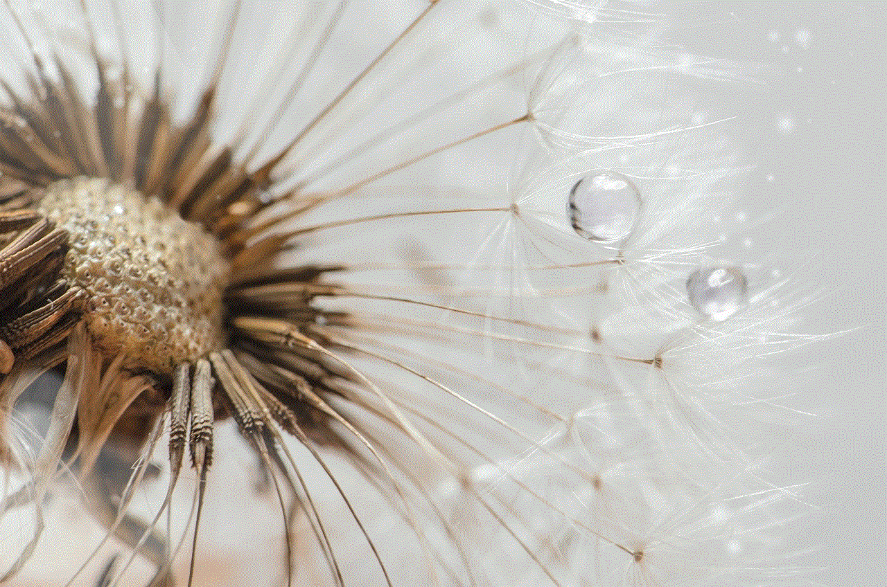 Dandelion Seed