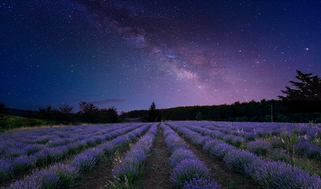 Milky Way Sky