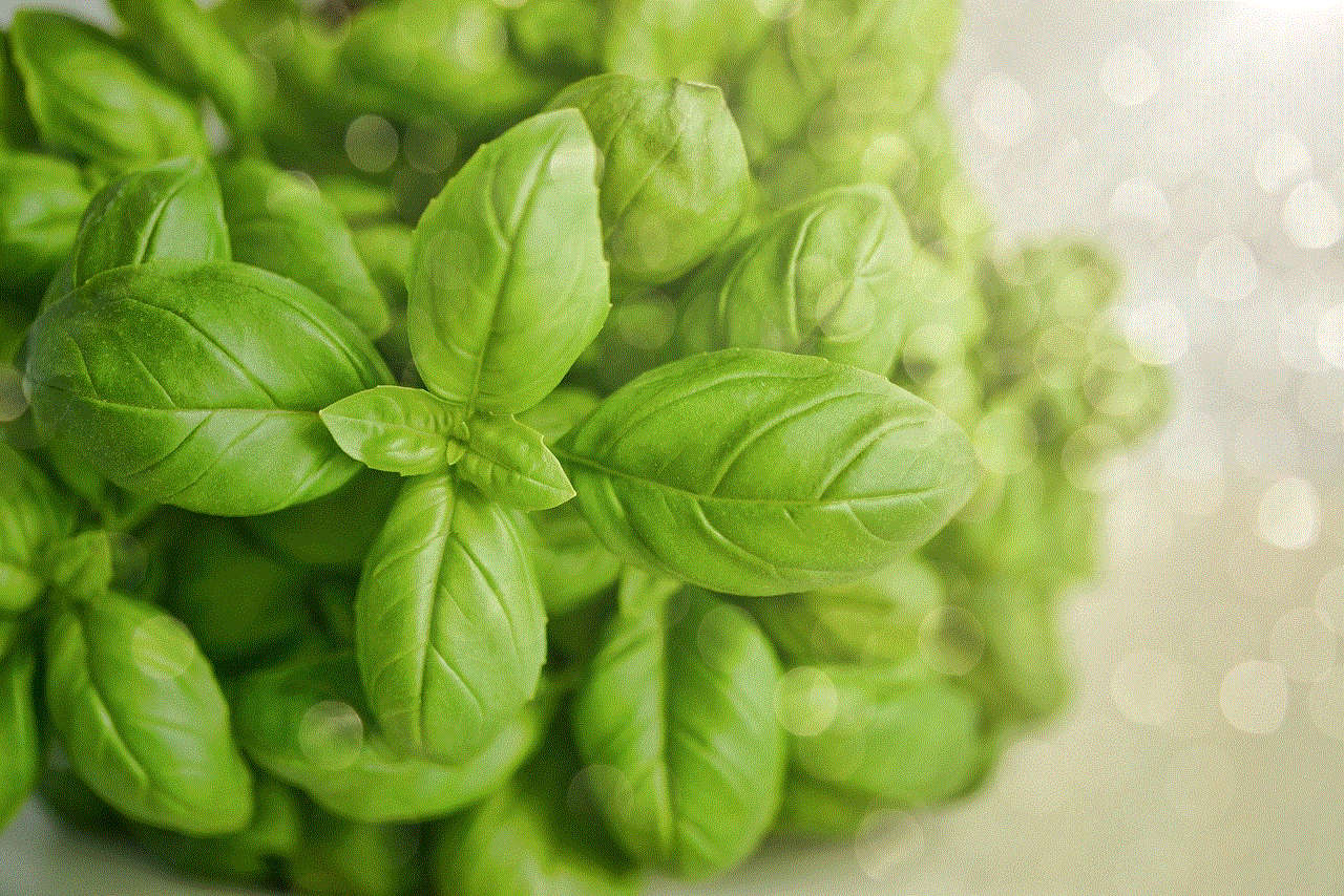 Basil Green