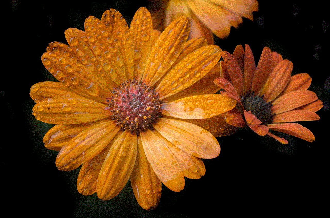 Orange Flower