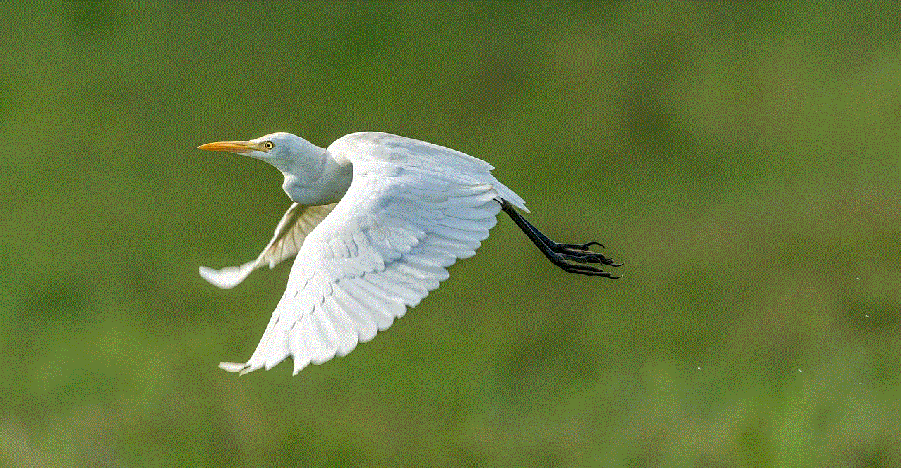 Heron White