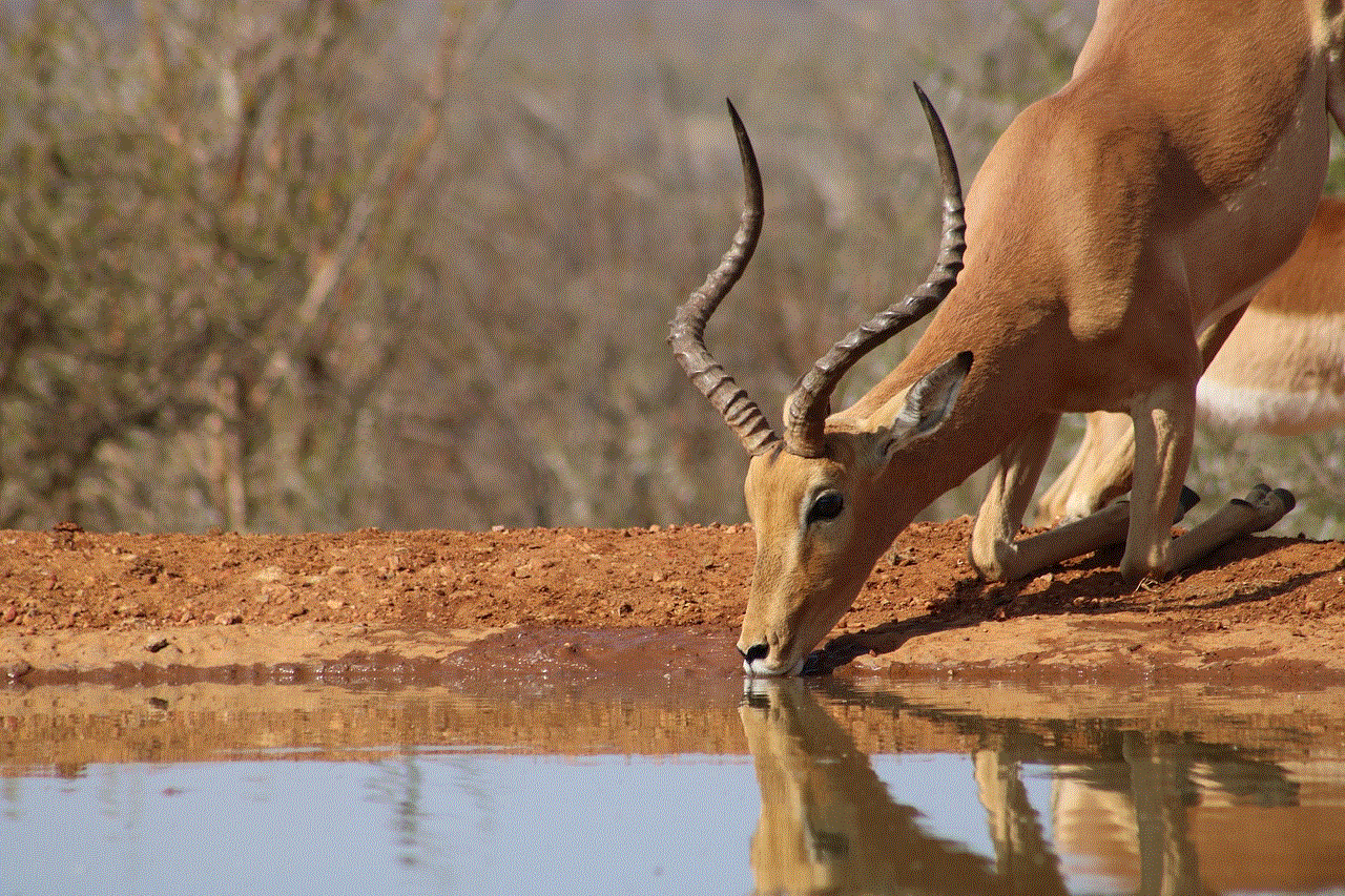 Impala Africa