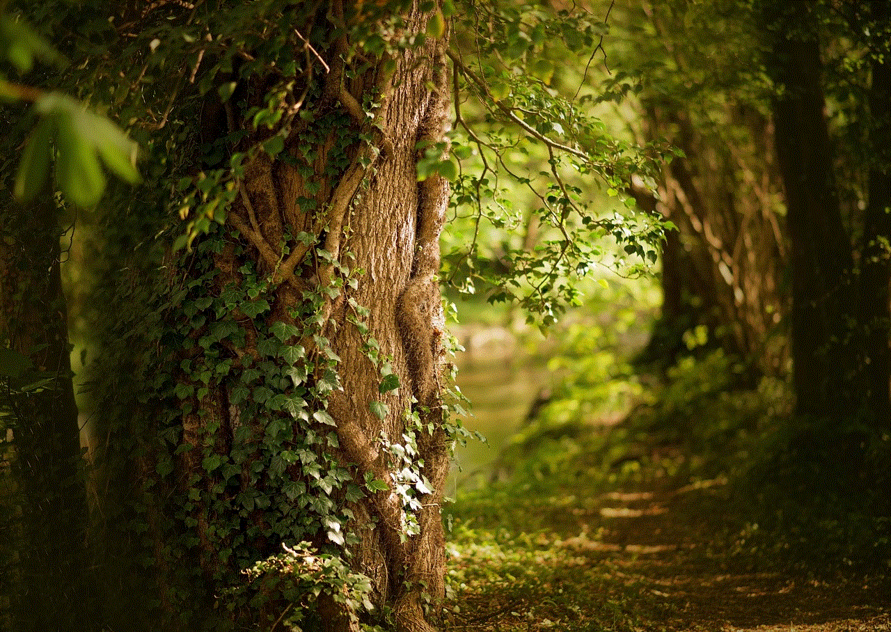 Spring Forest