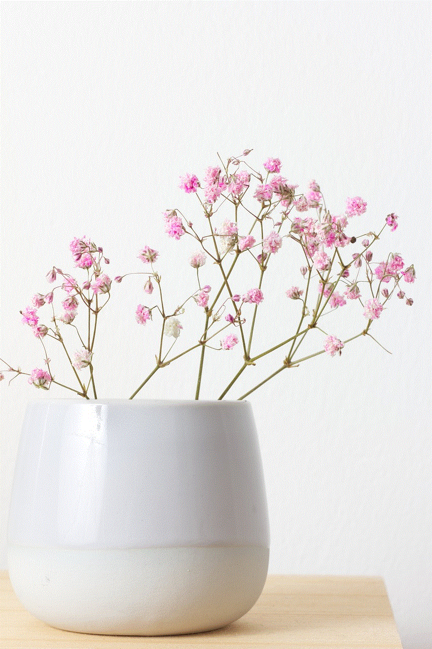 Gypsophila Flower