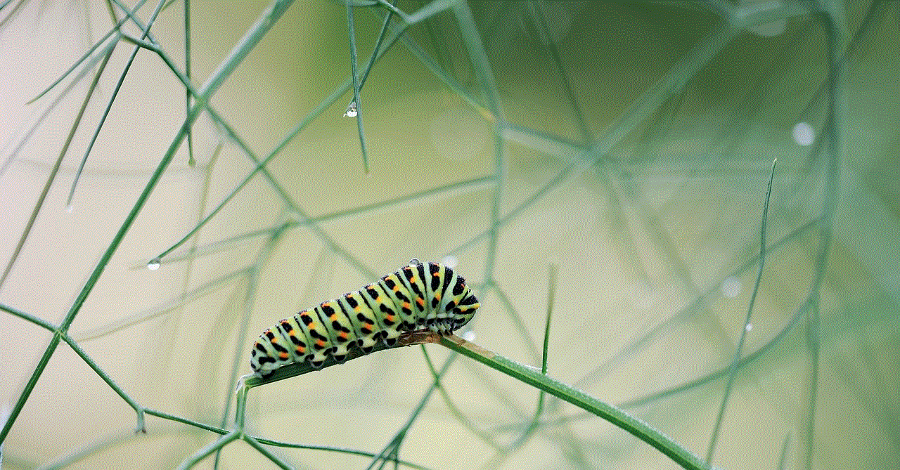 Caterpillar Dovetail