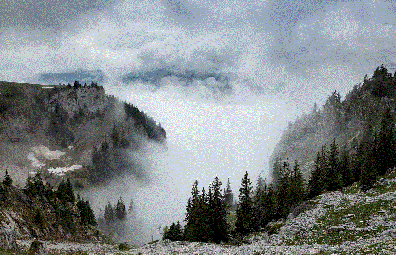 Mountain Mist