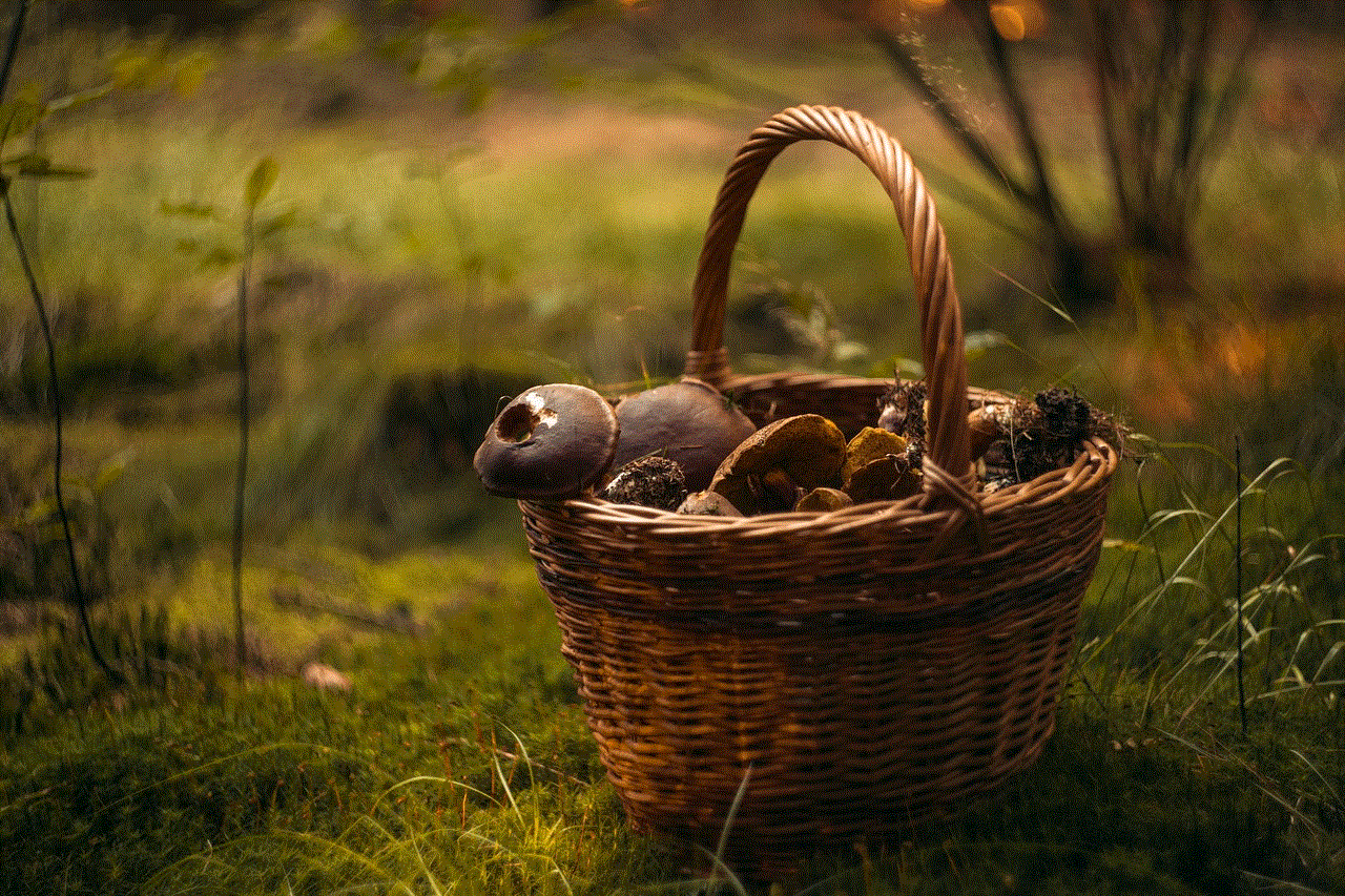 Mushroom Basket