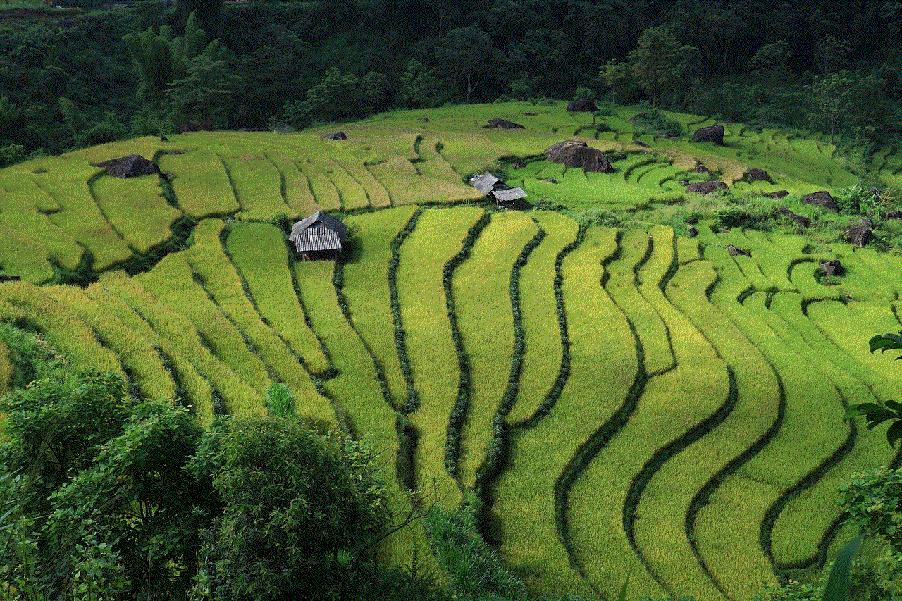 Landscape Terraced Fields