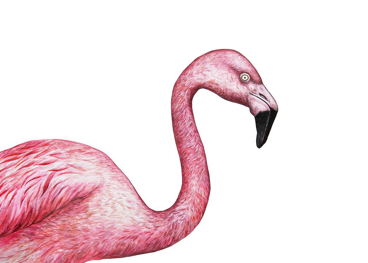 Flamingo Exotic