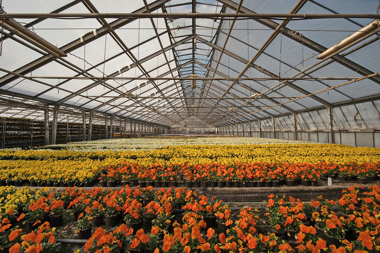 Greenhouse Nursery