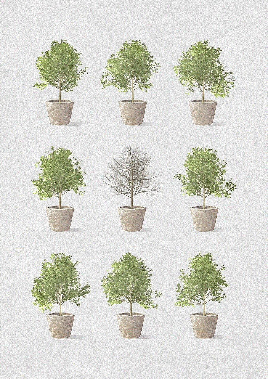 Plants Pots