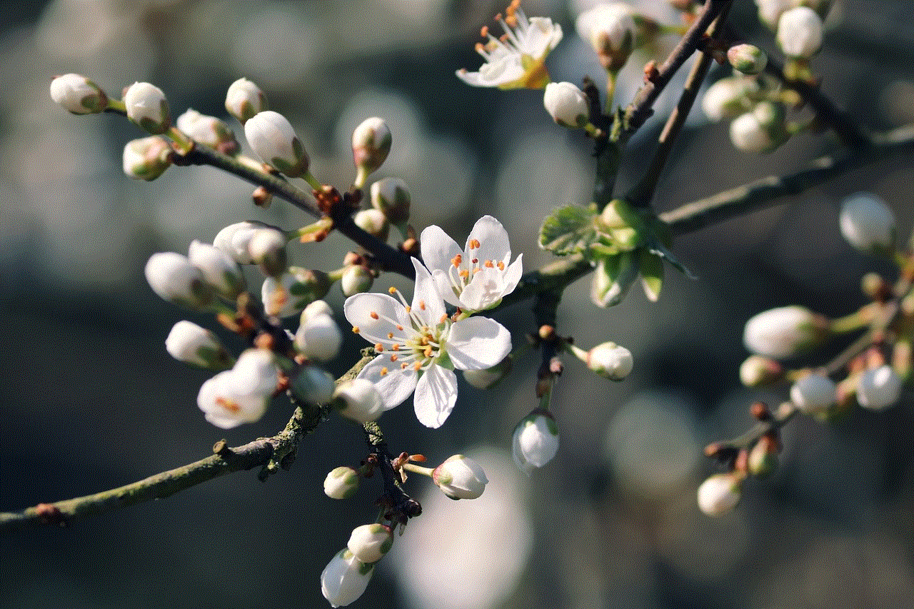 Blackthorn Slough