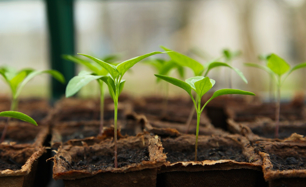 Seedling Gardening