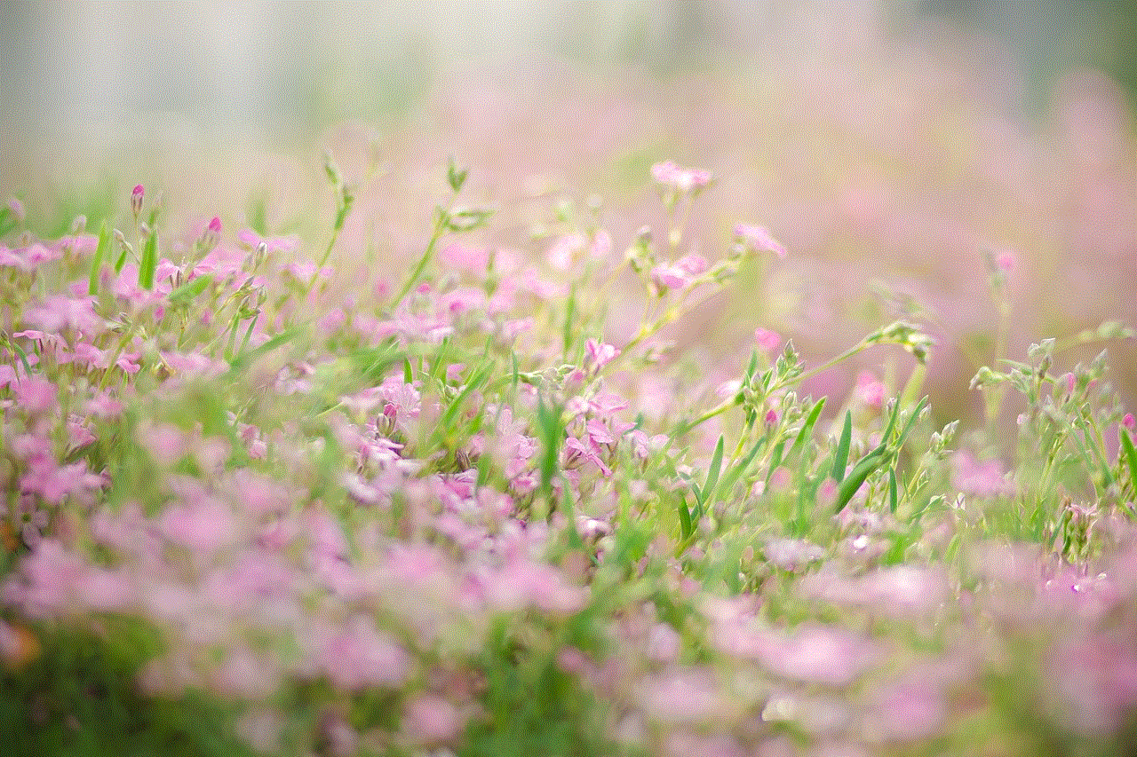 Moss Flower Bed