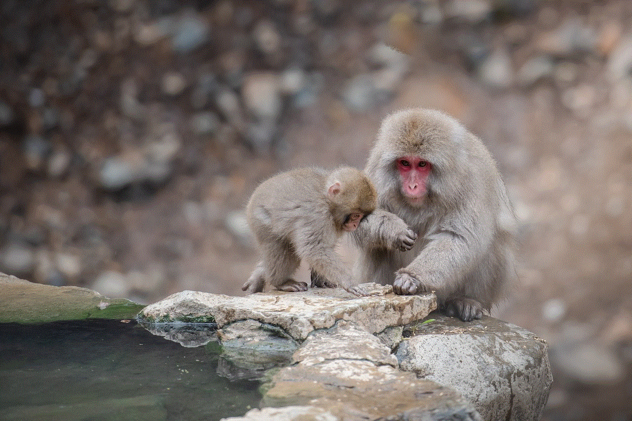 Snow Monkey Wild