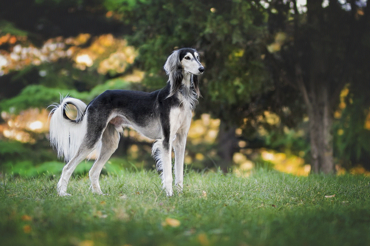 Nature Dog