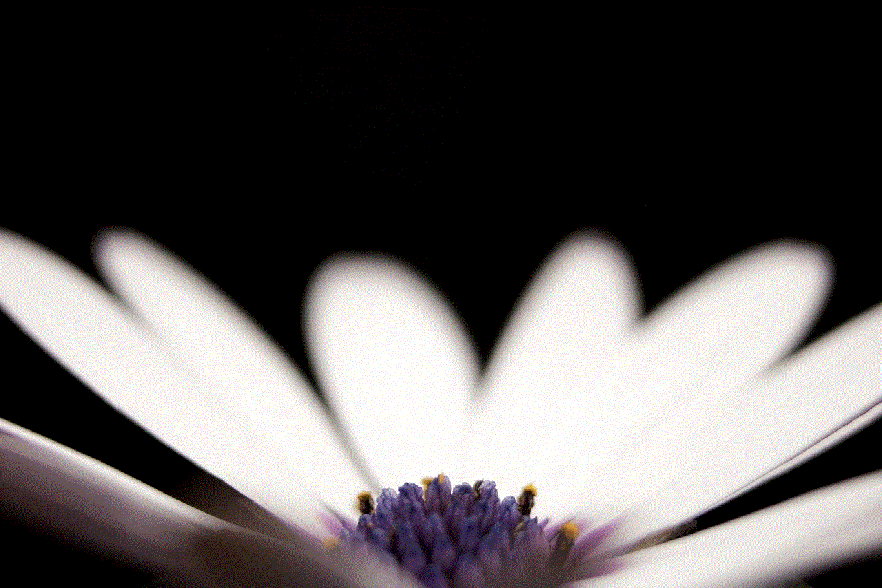 Flower Petal