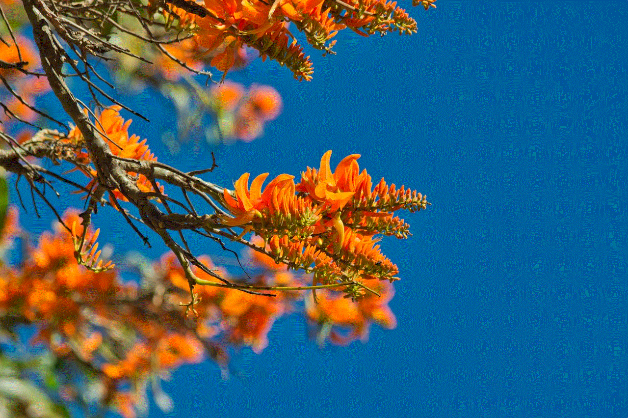 Tree Leaves