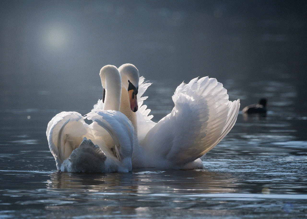 Swan Few