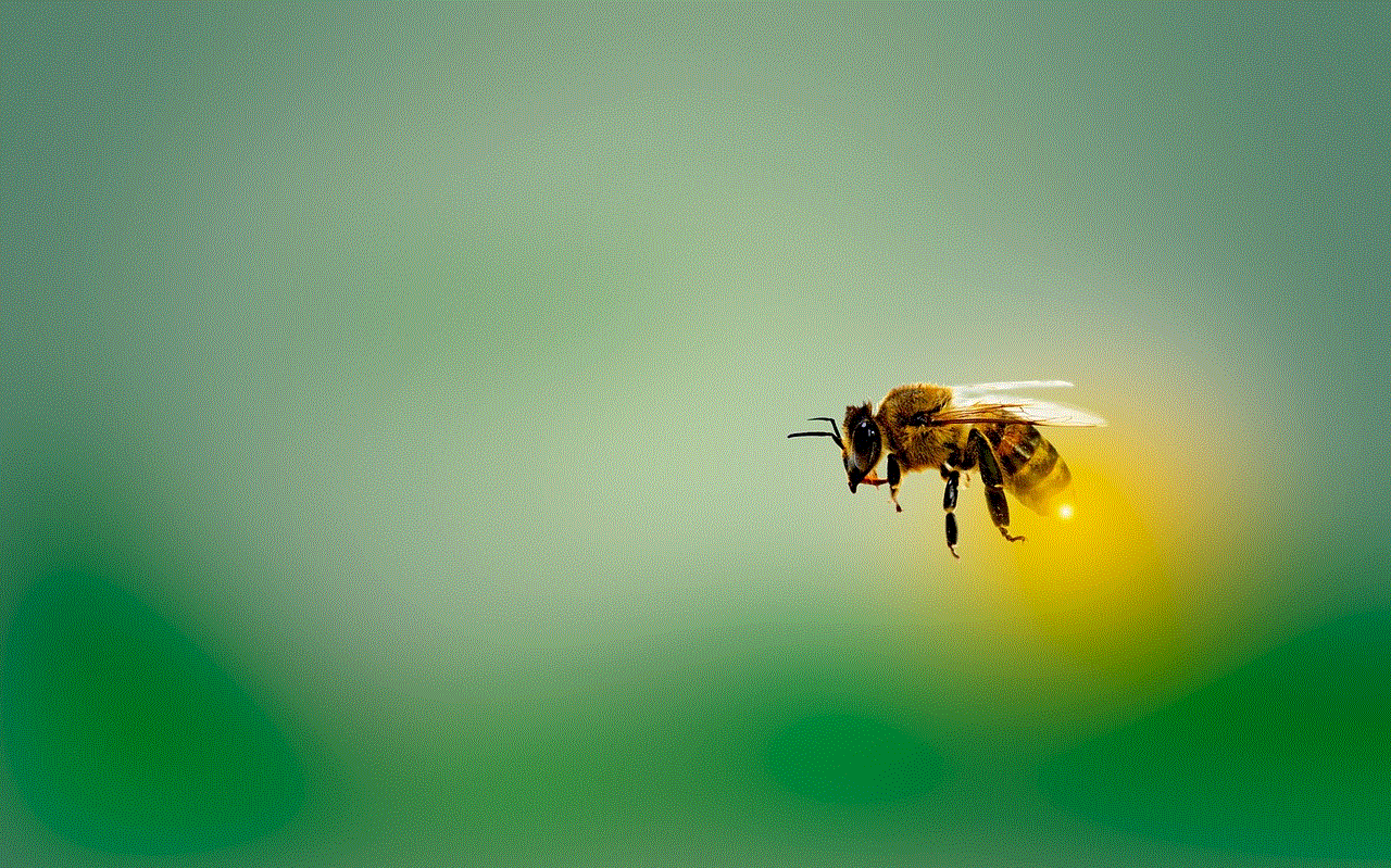 Bee Honeybee