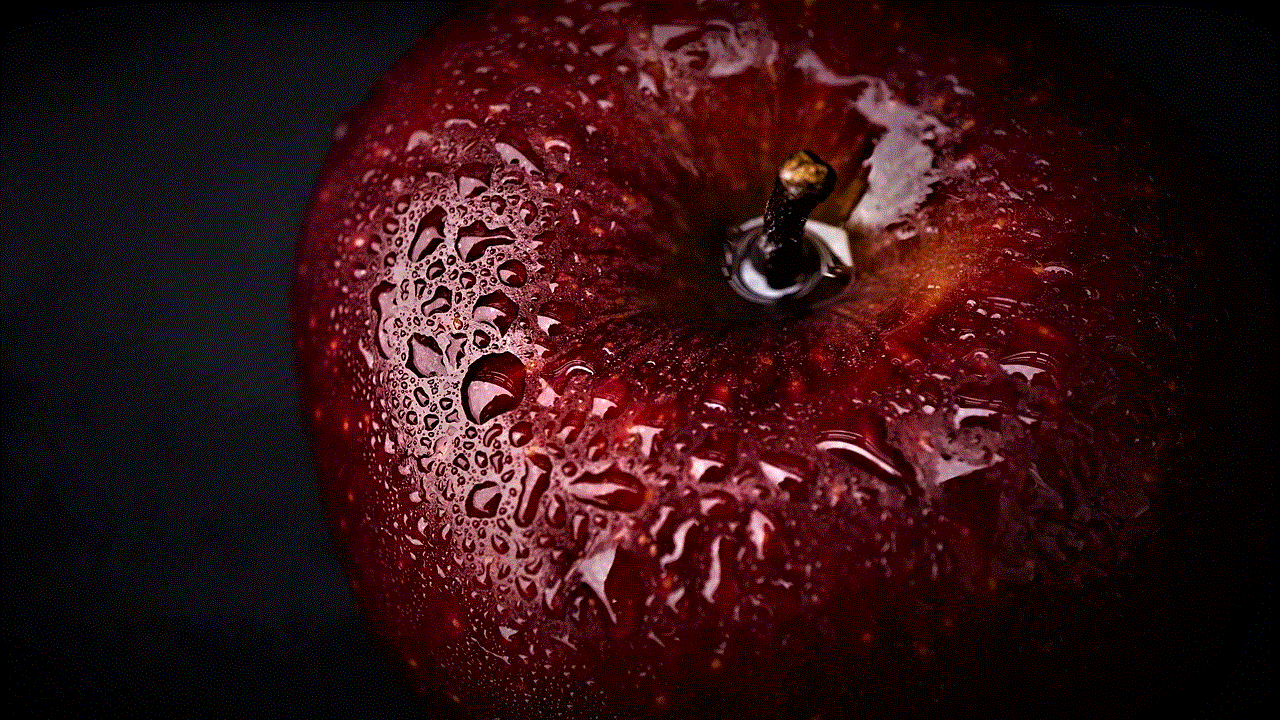 Apple Fruit