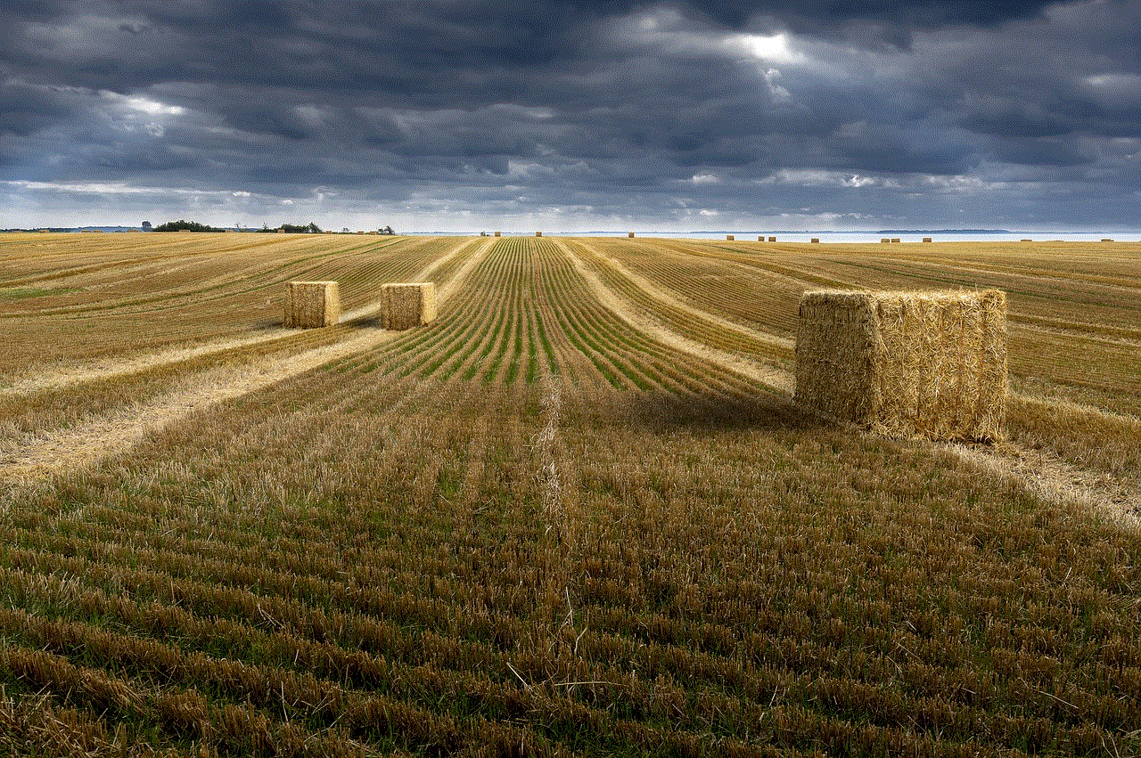 Wheat Wheatfields
