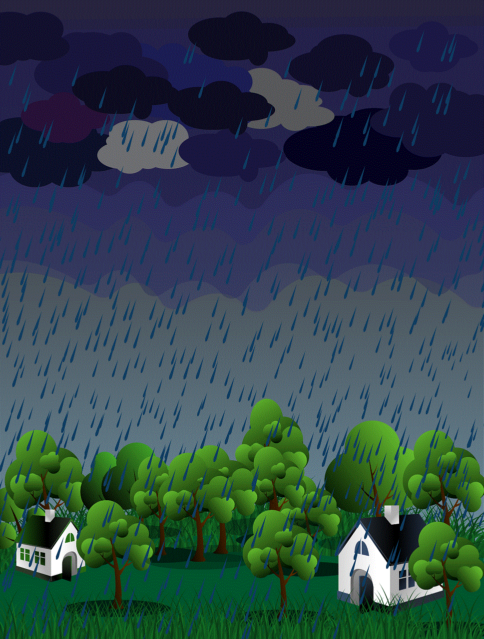 Rain Nature
