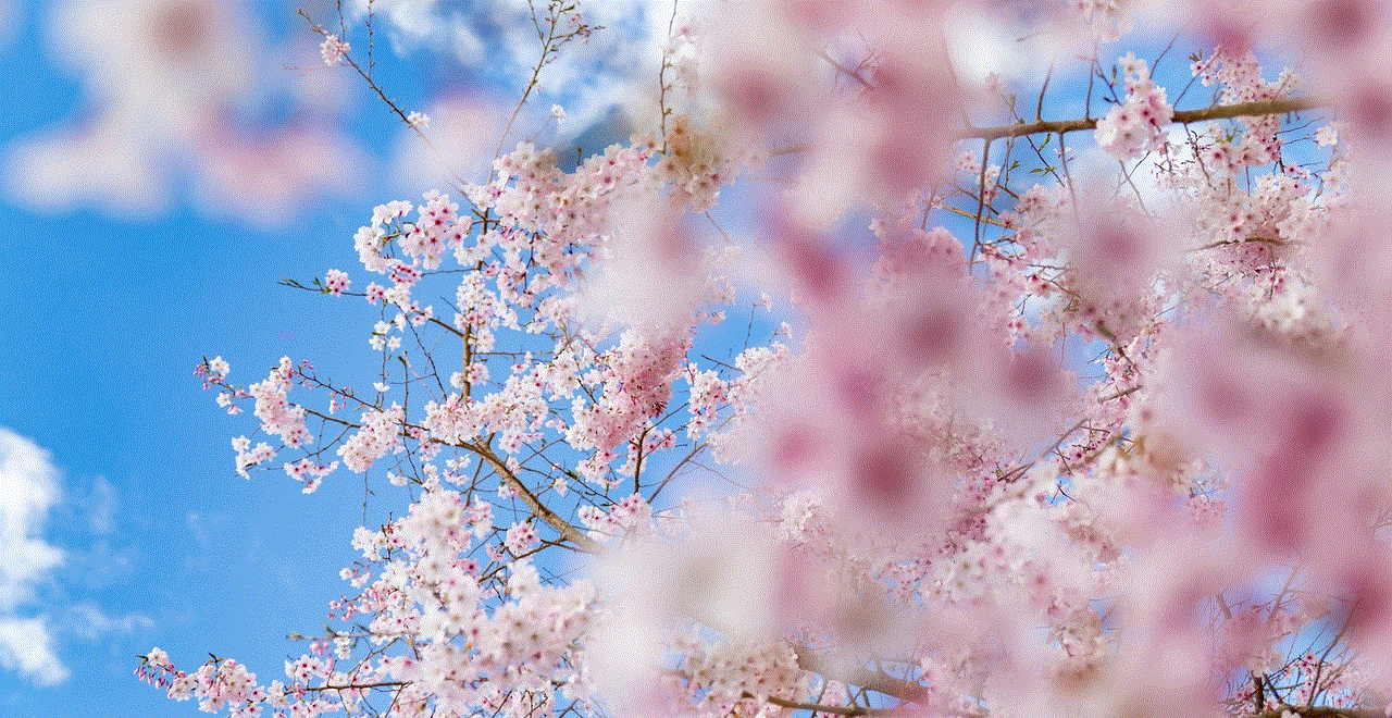 Spring Blossom