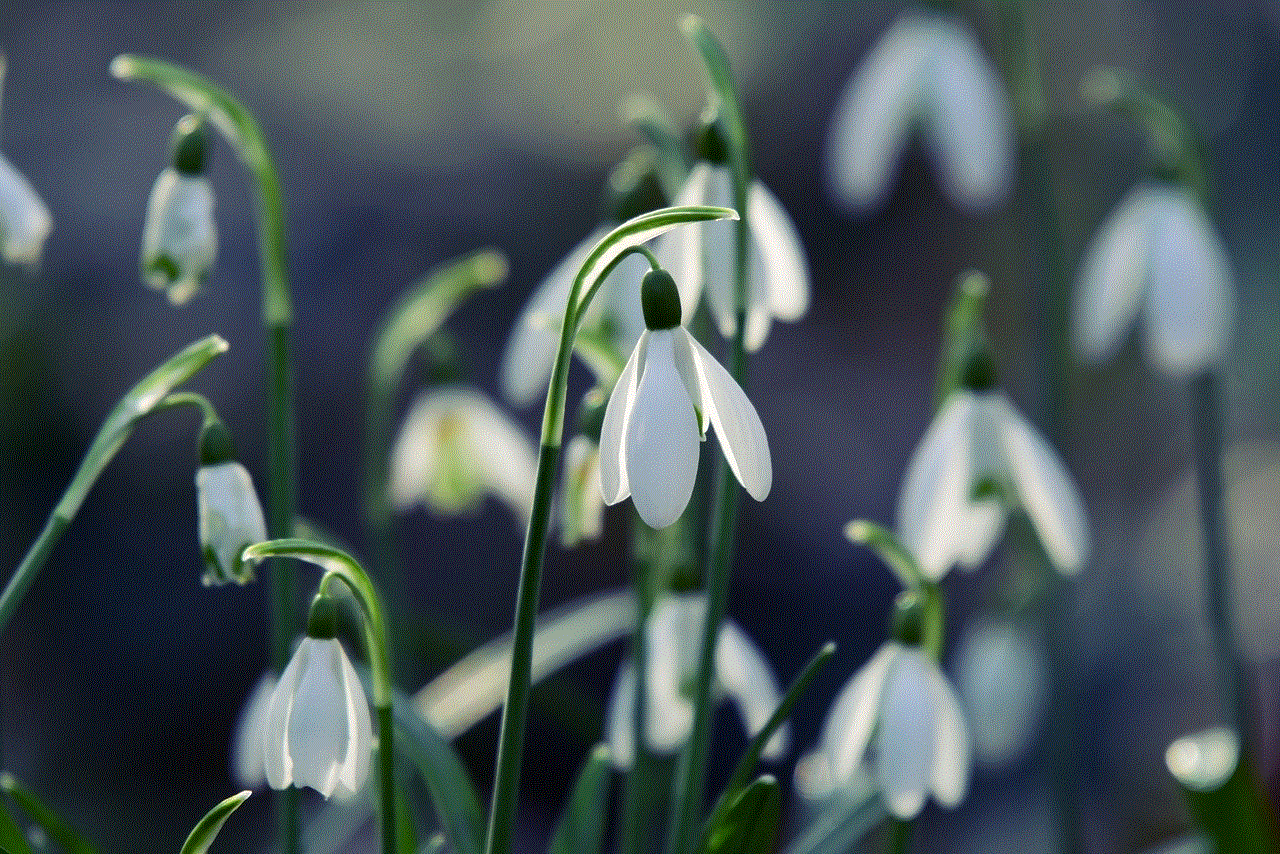 Snowdrop Flower