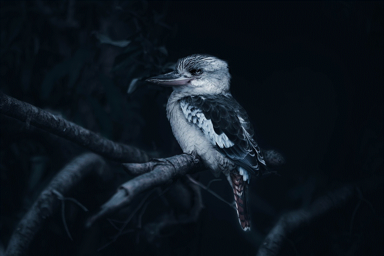 Kookabura Nature