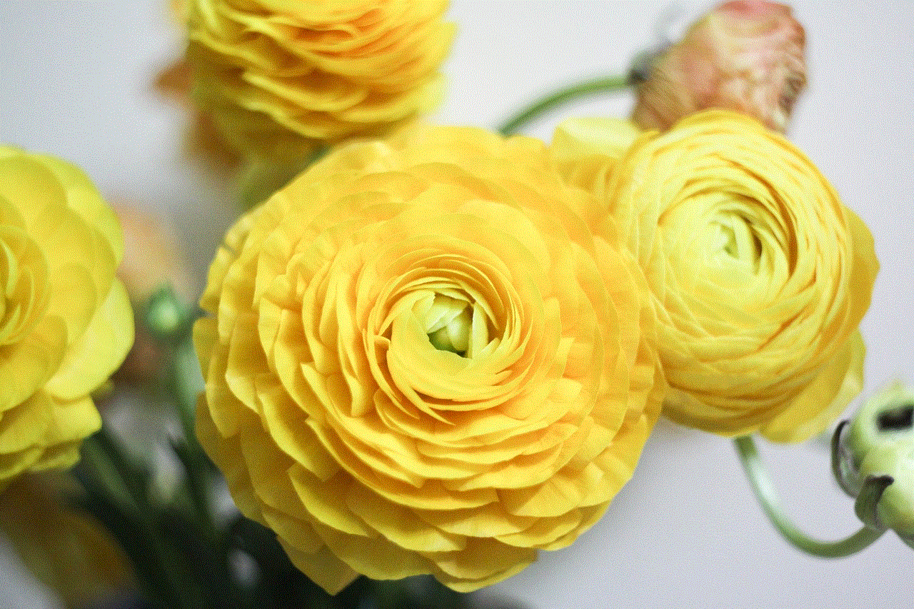 Rananculus Flowers