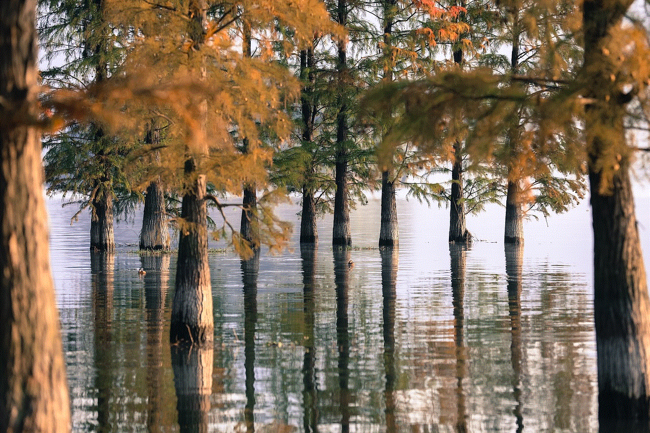 Tree Lake