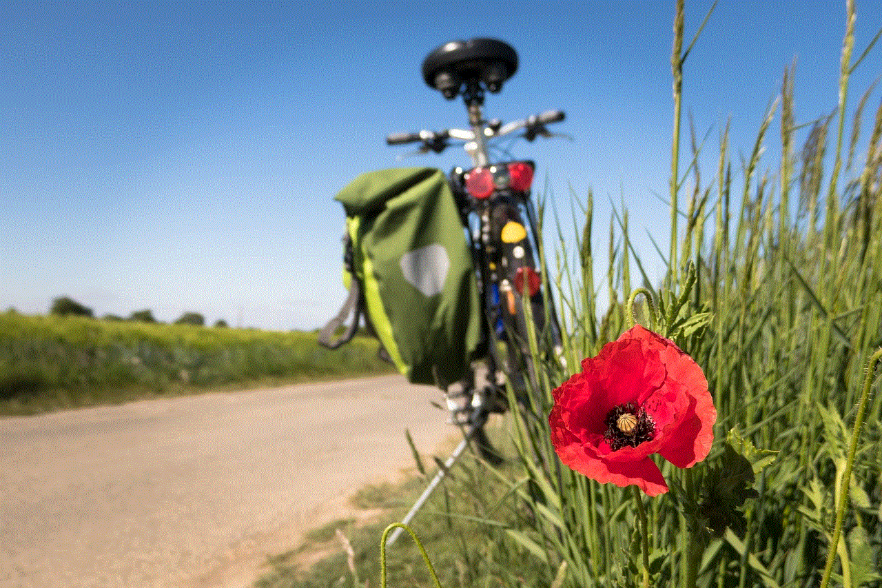To Go Biking Poppy