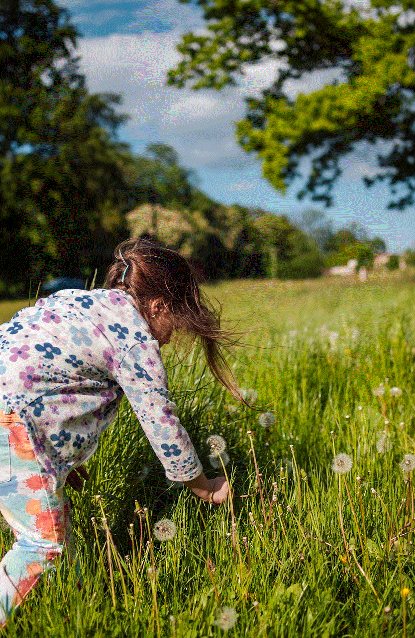 Dandelion Dandelions