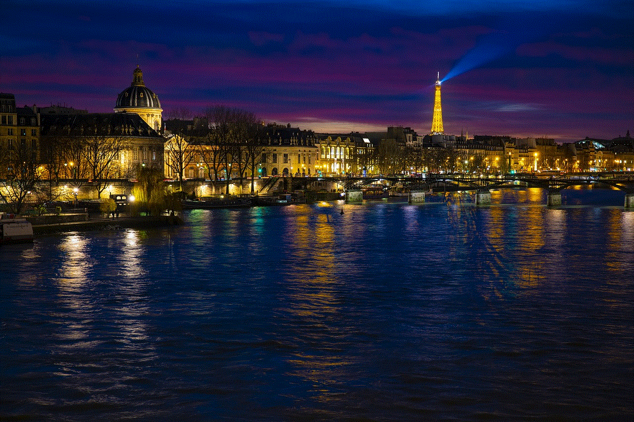 Paris Night