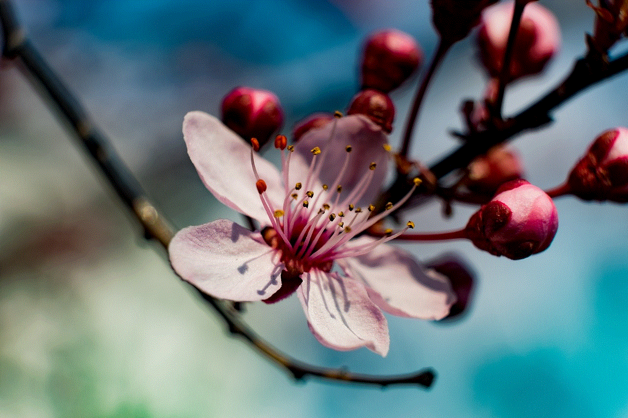 Spring Flower