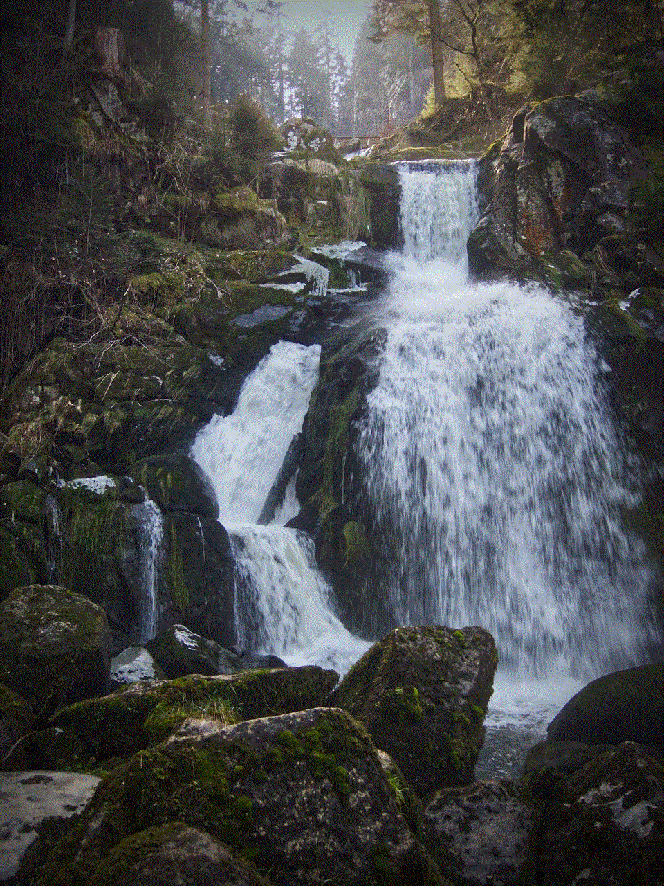 Triberg Waterfall