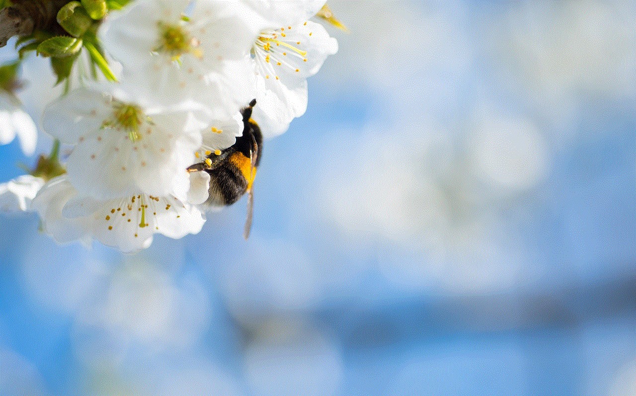 Cherry Blossom Bumblebee
