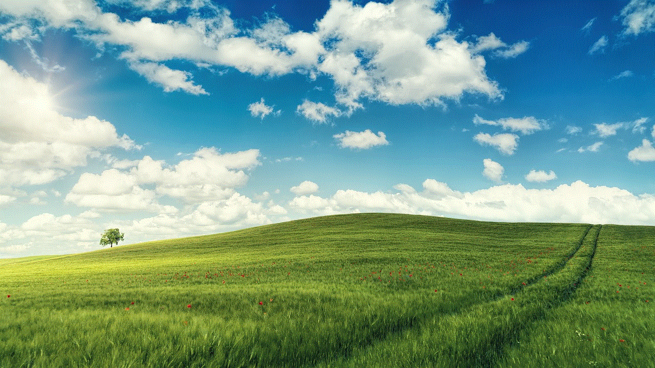 Field Laptop Wallpaper