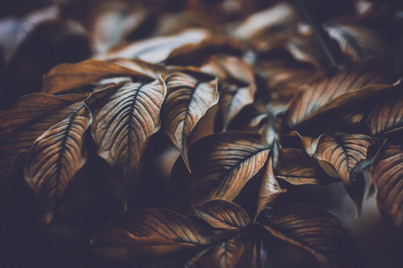 Leaves Autumn