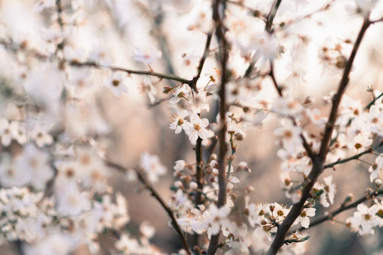 Nature Flowers