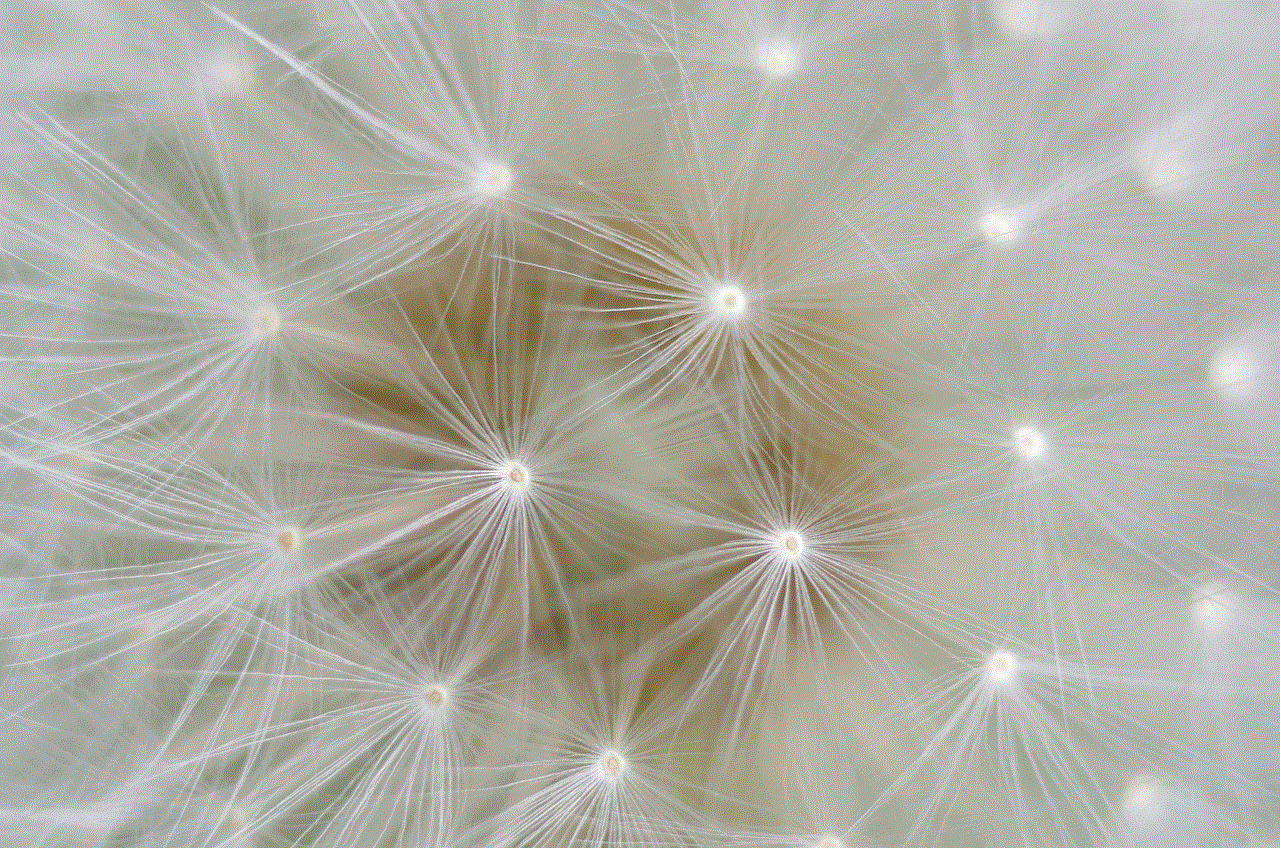 Dandelion Seeds