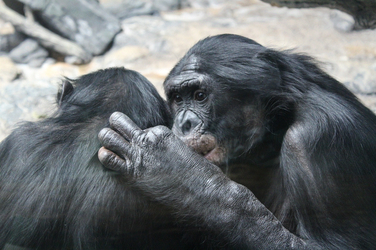 Bonobo Nature